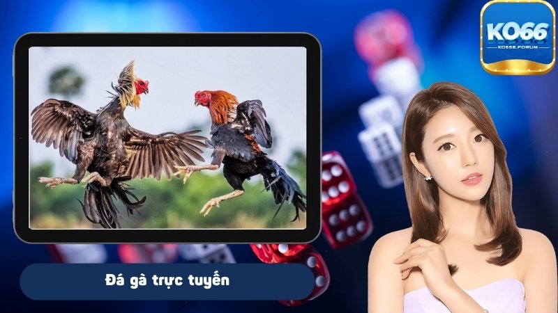 Tìm hiểu đá gà online