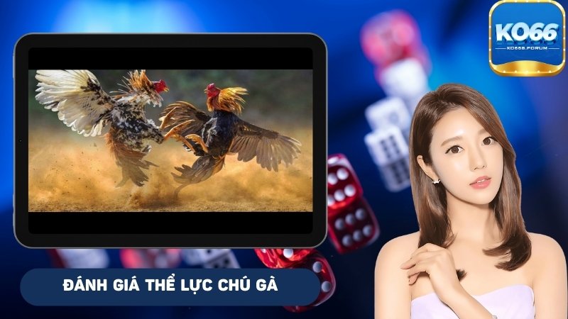 Đánh giá tình trạng thể lực chú gà