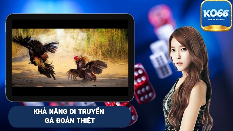 Khả năng di truyền gà lưỡi rùa